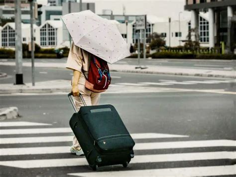 can u bring umbrella on plane|Umbrellas .